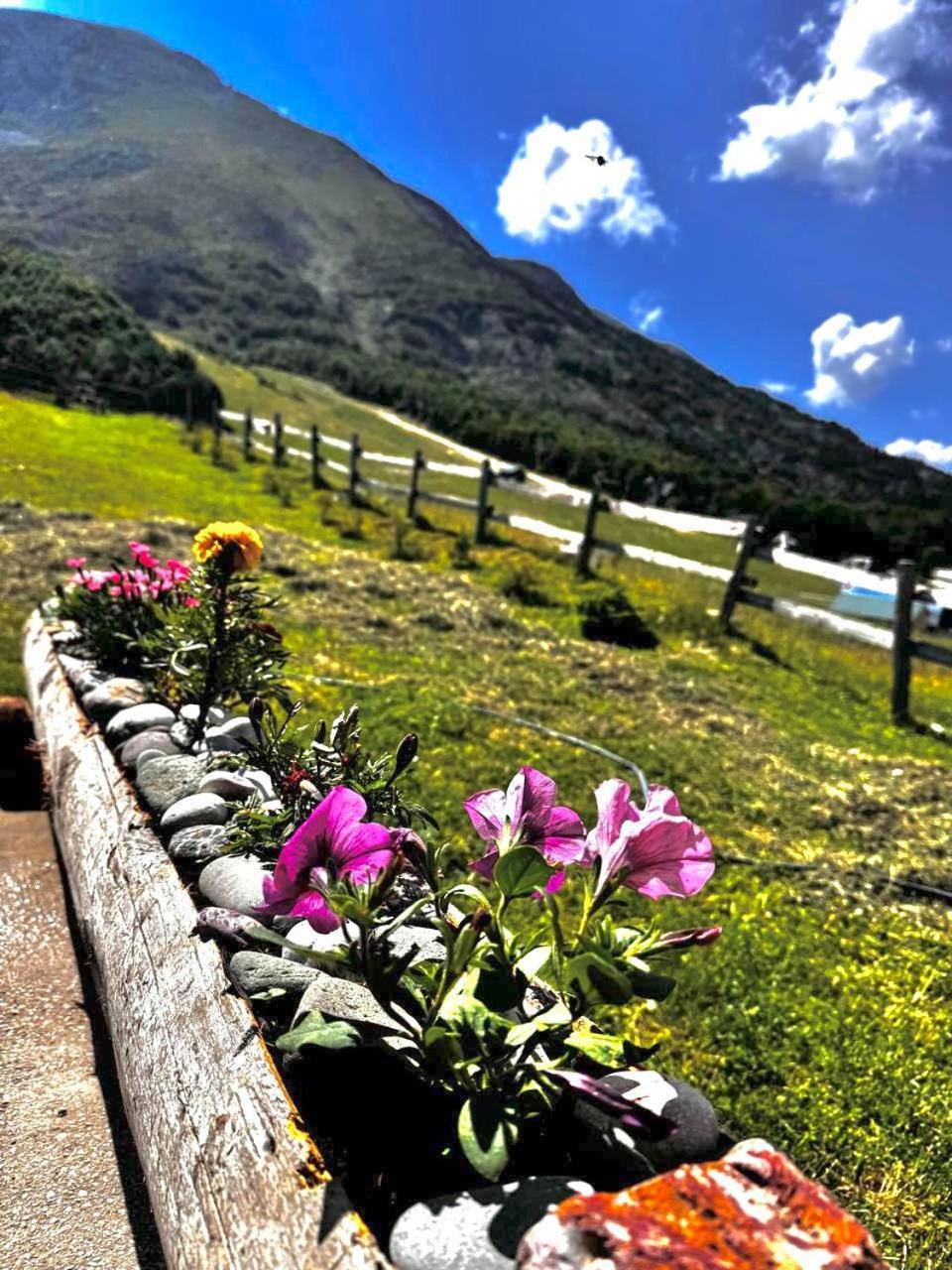 Mountain House Savin Kuk Villa Žabljak Buitenkant foto